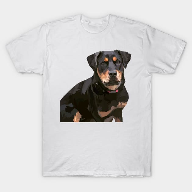Rottie doodle clearance